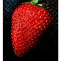 Strawberry Grunge