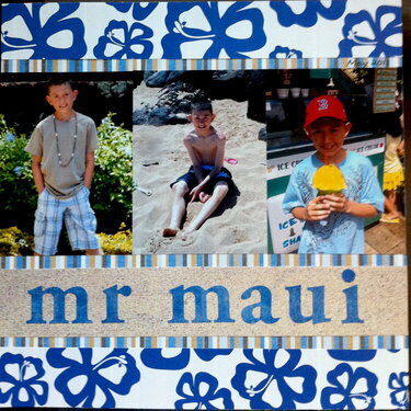 Mr. Maui