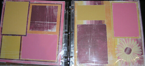 molly gift album pink stripe
