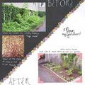 My garden: Before and After