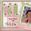 More detail of journal tags