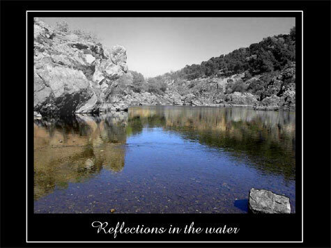 Reflections in the water