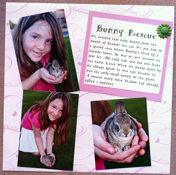 Disney - Bunny Rescue