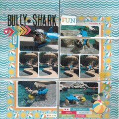 Bully Shark - Doodlebug
