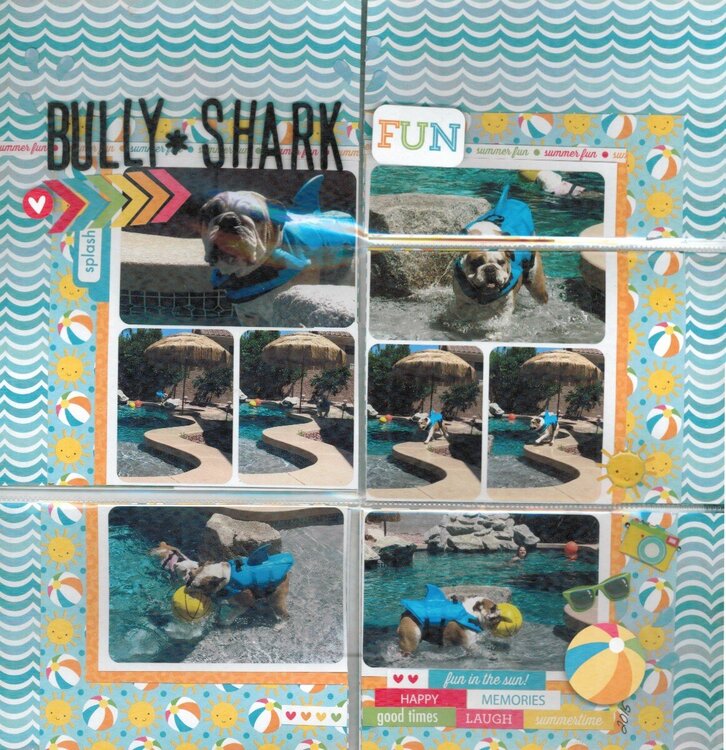 Bully Shark - Doodlebug