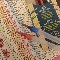 My Girl and I had so much fun playing with the new Hall Pass and Adult Coloring Products from AC