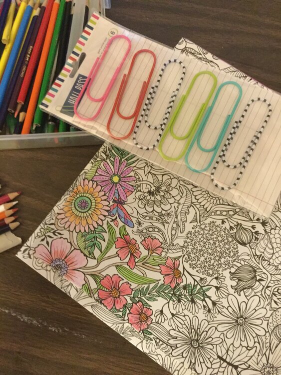 My Girl and I had so much fun playing with the new Hall Pass and Adult Coloring Products from AC