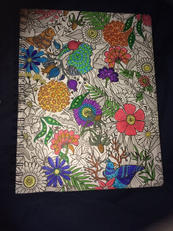 My Girl and I had so much fun playing with the new Hall Pass and Adult Coloring Products from AC