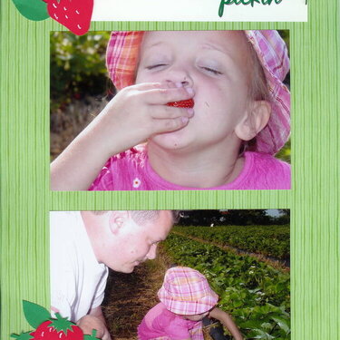 Strawberry Pickin&#039;