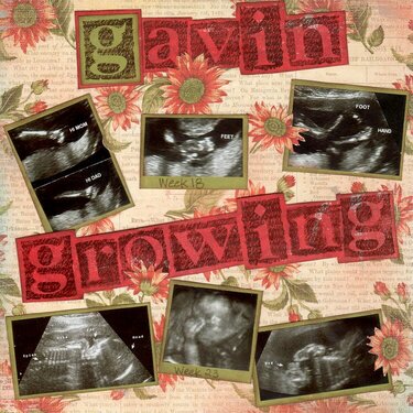 Gavin&#039;s Growth2