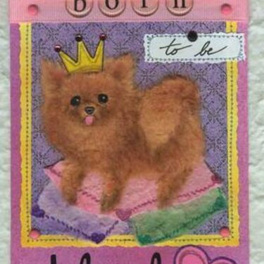 Born to be Adored (Pomeranian)