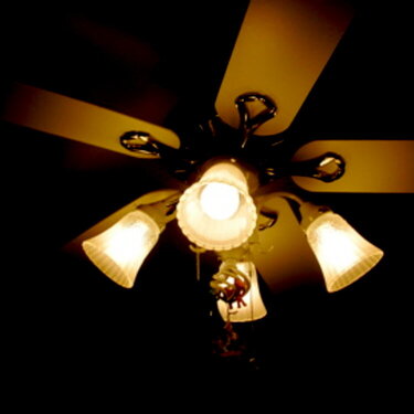 #5 Lightnin rnd- ceiling fan