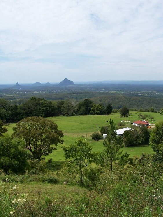 Glasshouse Mountains View from Mary Cairnscross Reserve AU