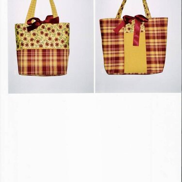 Red and Yellow Purse set