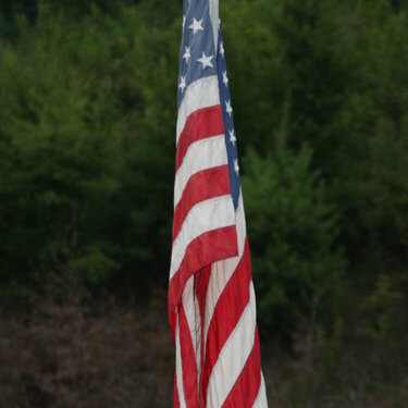 An American Flag - 4 pts
