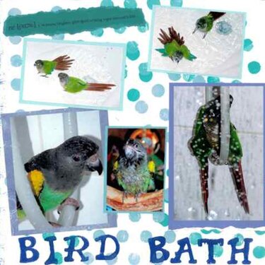 Bird Bath - left side