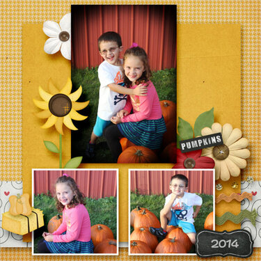 Pumpkins 2014