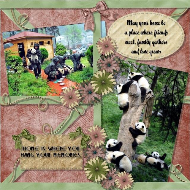Pandas at Play