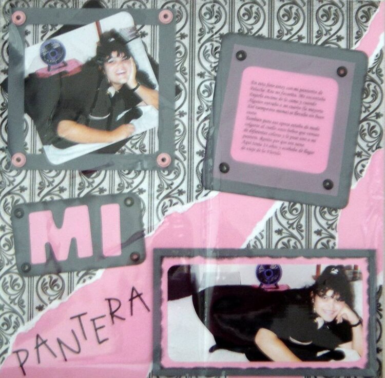 Mi Pantera/1993