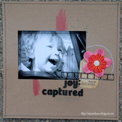 joy: captured