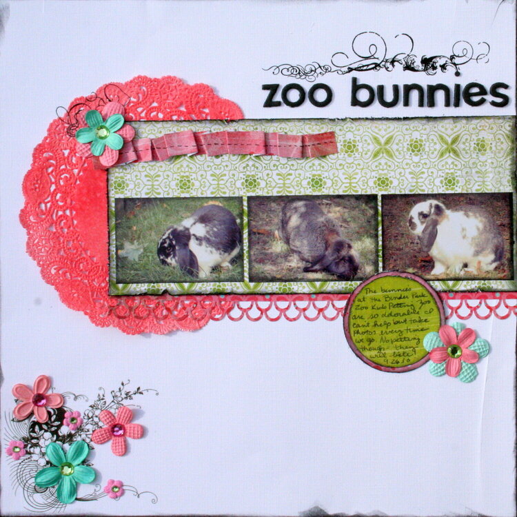 zoo bunnies