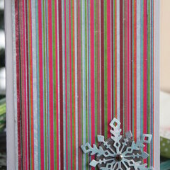 Merry Christmas ~ 2008 Christmas Cards