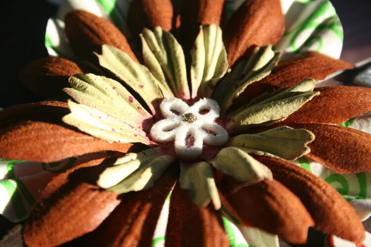 detail shot of big flower