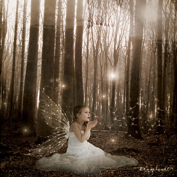 Fairy in the wood