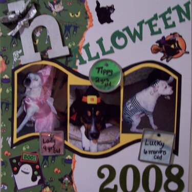 ~*~Halloween 2008~*~