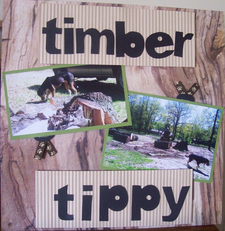 Timber Tippy