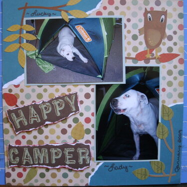 ~*~Happy Camper~*~
