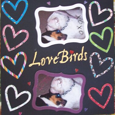 ~*~LoveBirds~*~