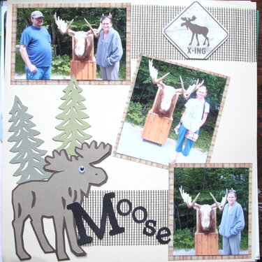 ~*~Moose~*~