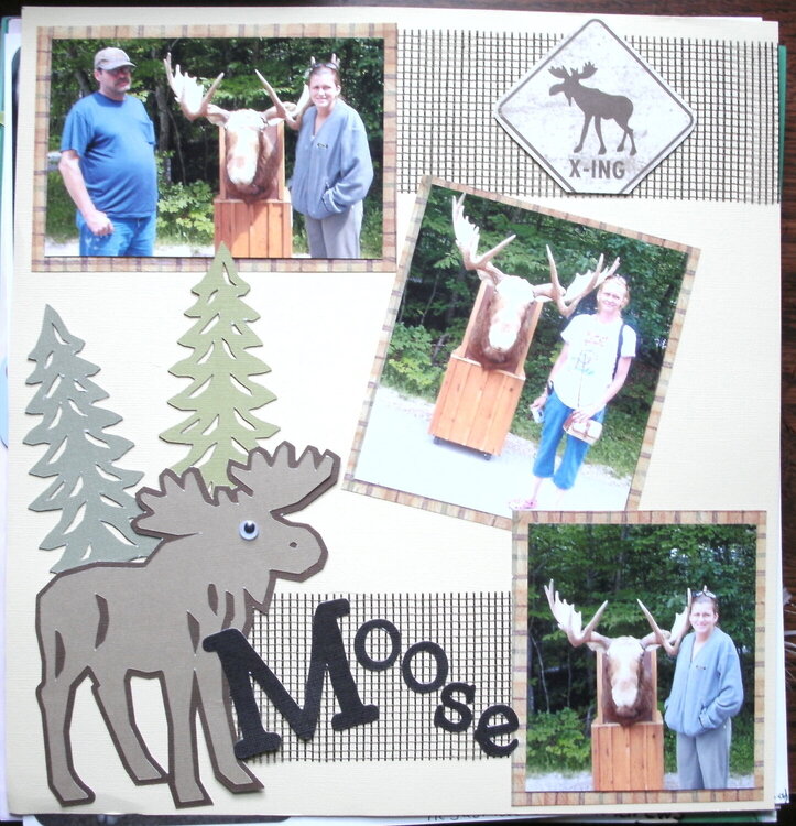 ~*~Moose~*~