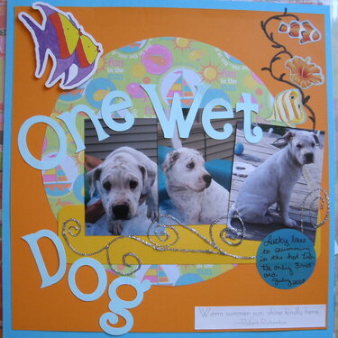 ~*~One Wet Dog~*~