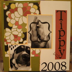 ~*~Tippy 2008~*~