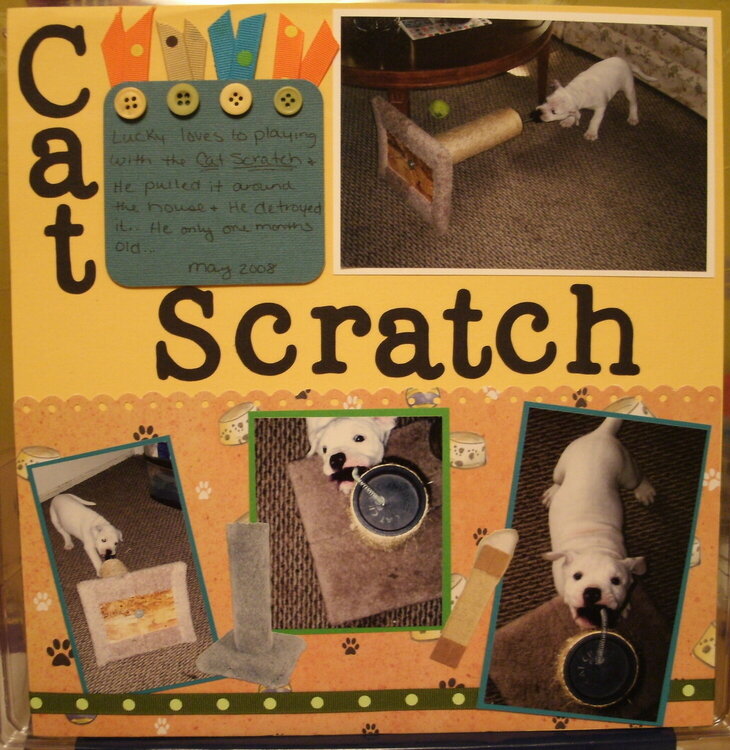 ~*~Cat Scratch~*~