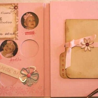 Baby Girl, Altered Coin Book