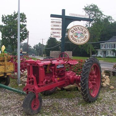 BAYVIEW Market &amp; Farms