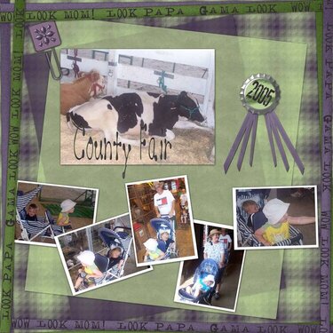 County Fair p1