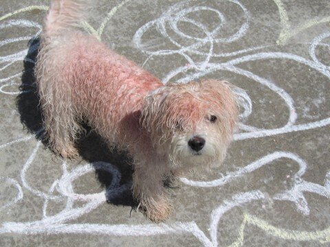 Something you would find on the ground- CHALK