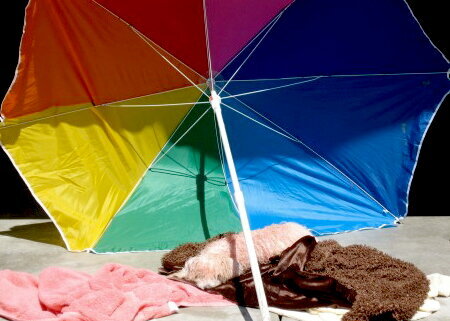 Multicolored umbrella