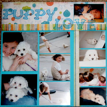 Puppy Love--18 photos
