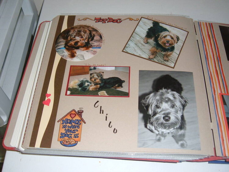 Chico&#039;s page