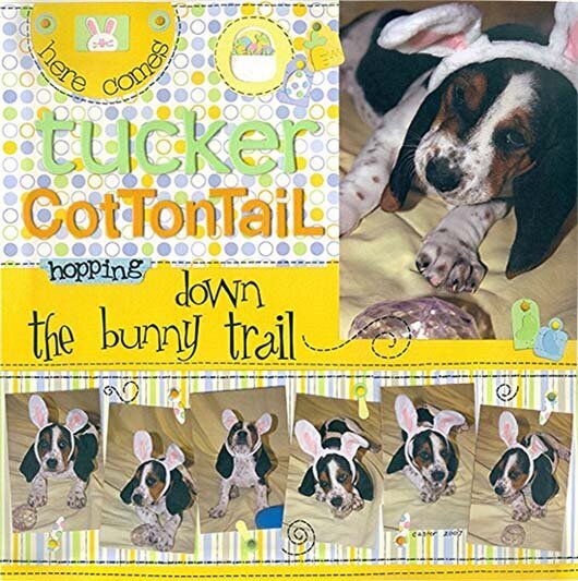 Here Comes Tucker Cottontail...