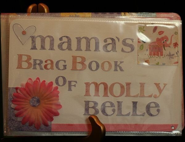 Molly Belle&#039;s Brag Book *Basic Grey*
