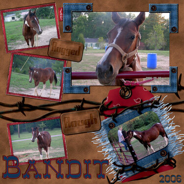 Bandit