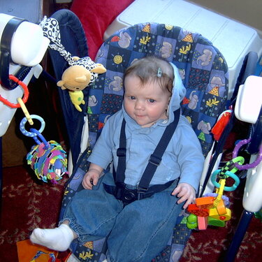 Happy Girl Swinging