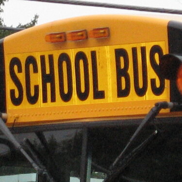 1.) A School Bus {6pts.}