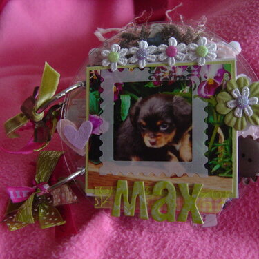 Max Clear Album pg. 1